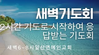 일산 연예인교회(백석)기도하시고 싶으신분 누구든지 오셔서 함께 나라와민족을 위해 기도 합시다~2025년  새벽기도회  새일을 행하실 주님을 믿고 응답받는  기도회 13일째