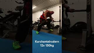 Kurzhantelrudern - 12x die Rostigen 150kg Dinger (fast so stark, wie Leonidas)