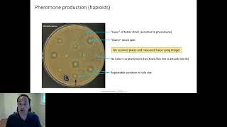 Yeast experiments provide insight into the... - Nathaniel Sharp - VarI - Keynote - ISMB 2022