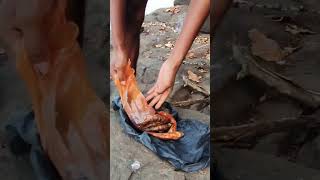 मले मासे भुजिंग 🥰🥰 #fish bhujing #bhujing #frsh water fishing #trending Fishing video #cooking video