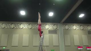 Five Level 10 Bar Routines for Practice Judging