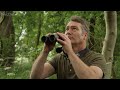 tawny owl chicks flourish against all odds full story bonnie u0026 ozzy robert e fuller