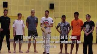 Capoeira med Idrætslinien