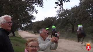 CARRERA DE CABALLOS TORIL 2022 - CARRERA PURA SANGRE