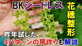 BKシードレスの花穂整形　昨年試した4パターンの房作りの結果も交えて解説