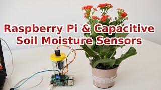 Raspberry Pi and Capacitive Soil Moisture Sensors for Gardening