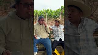 Goyo no quiere trabajar/El Kampito /2025