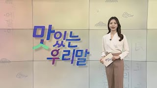 [2022 맛있는 우리말] 16회 / 연합뉴스TV (YonhapnewsTV)