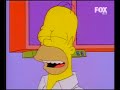 homer avete la mia completa attenzione