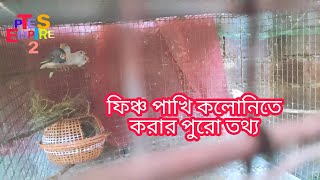 How to make a finch bird colony.//ফিঞ্চ পাখি কলোনিতে করলে কি পদ্ধতিতে করতে হবে#(Pets Empire 2)