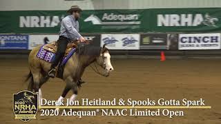 Derek Jon Heitland \u0026 Spooks Gotta Spark 2020 Adequan North American Affiliate Championship Ltd. Open