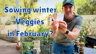 Seeds you CAN sow in FEBRUARY in Australia.