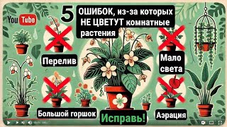 🌿 **5 главных ошибок, из-за которых у вас не цветут комнатные растения | Советы по уходу** 🌸