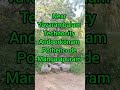 5 acre land for sale near Vavarambalam, pothencode,andoorkonam#9747738917##