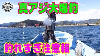 真アジ大爆釣ボートサビキ【釣れすぎ注意報】