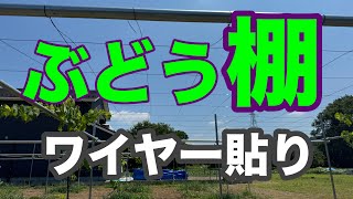 【ぶどう棚】素人でも簡単にワイヤーを貼る方法！！