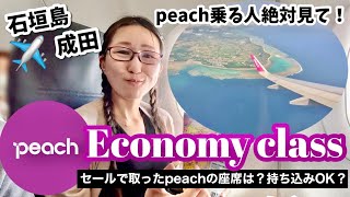 Peach airline flight log, ISG-NRT Ishigaki to Narita beautiful flight✈️