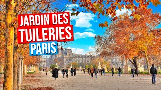Jardin des Tuileries | Tuileries Garden - Paris, France (Automne | Fall | Autumn)