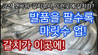 군산 갯바위 갈치낚시, 이런 곳에 갈치가? 새만금 석축말고 이곳은 어때요?