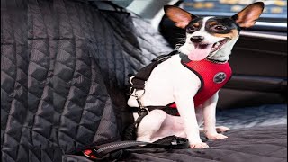 SlowTon Dog Car Harness Plus Connector Strap, Multifunction Adjustable Vest Harness Double