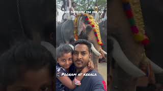 #kerala#keralaelephant#festival#pooram