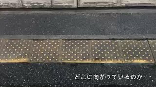 【関慎吾】どこに向かっているのか20210325