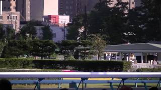 札幌競馬場（9月24日12Rレース）