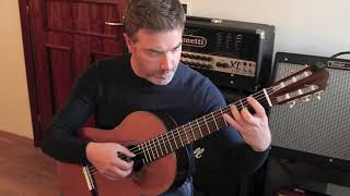 Letter From Home - Pat Metheny - Guitar by Roberto Cardinali