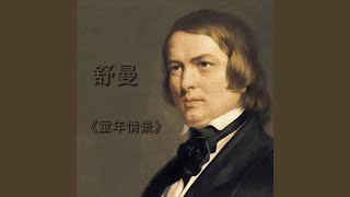 童年情景, 重要事件, Op. 15, No. 6