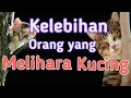 Manfaat Memelihara Kucing | Kabar Baik Untuk Pecinta Kucing (Cat Lover mari kumpul)