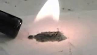 Micron Mic (lighter)