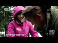 《远方的家》 20210409 最美是家乡——新疆 徒步天山南北 cctv中文国际