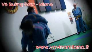 Vovinam Viet Vo Dao - Don Chan Tan Cong n° 2 e n° 3 in combattimento