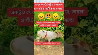 আহ 😭 মানুষ কতোটা নিষ্ঠুর হলে ।। এরকম কাজ করতে পারে