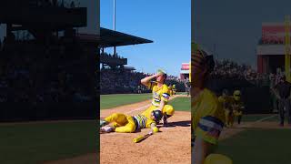 “My Shayla” Hit by pitch #shorts#savannahbananas#fyp #shayla #myshayla #baseeball #springtraining