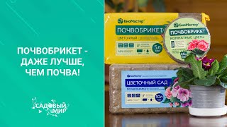 Чудо почва - почвобрикет: просто добавь воды! Как и в какой грунт пересадить домашние цветы зимой.