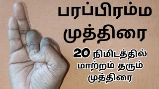 #mudhra தினமும் 20 நிமிடம் அழுத்தினால் உடலில் ஏற்படும்  அதிசய முத்திரை|YOGA MUDHRA|#mudhravideos