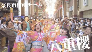 2019　奈良市役所チーム八重櫻　天平のいぶき（第66回高知よさこい祭り）