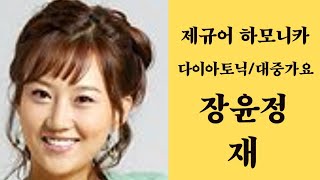 [제규어 하모니카 연주] 장윤정-재