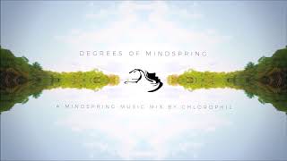 VA - Degrees Of Mindspring (Mixed by Chlorophil)