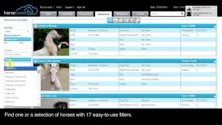 Horsecount: Salesboard