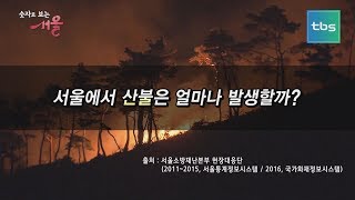 [tbs]숫자로보는서울_ 서울에서 산불은 얼마나 발생할까?