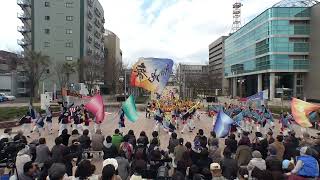 中京大学 晴地舞　2017がんこ祭3/12（日）　東街区ロータリー会場