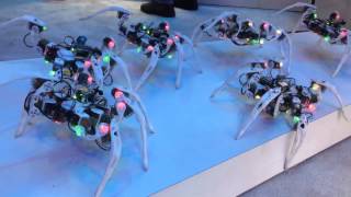 Intel Hexapod robot spiders CES 2015