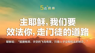 主耶稣，我们要效法你，走门徒的道路｜【路加福音9章58节】耶稣说：“狐狸有洞，天空的飞鸟有窝，只是人子没有枕头的地方。”｜五点晨祷，每天见主的面～