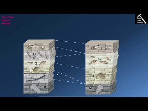 How are fossils used to correlate rocks?
