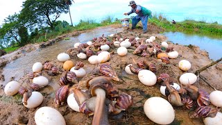 wow wow Unique - pick a lot of duck eggs and strange snails by hand a smart fisherman, fishing