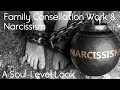 Narcissism & Family Constellation Work. A Soul-Level Look at Narcissism & Narcissistic Patterns