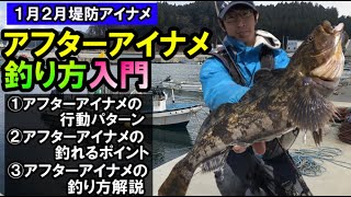 【初心者アフターアイナメ攻略】これからの時期が大型の魚がよく釣れる！産卵後のアフターアイナメの釣り方解説