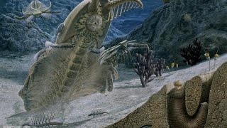Welcome to the Cambrian